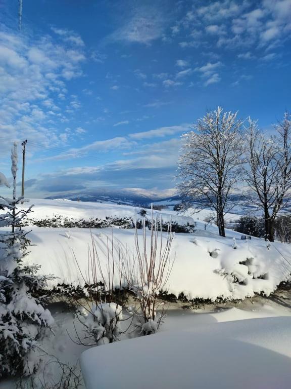 Hotel Kacenka Králíky Exteriör bild